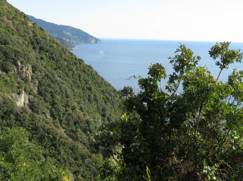 Italian Riviera